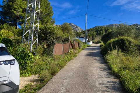Tomt i Benimeli, Alicante, Benimeli - € 83 000 | Ref: PNPT297 - foto 36